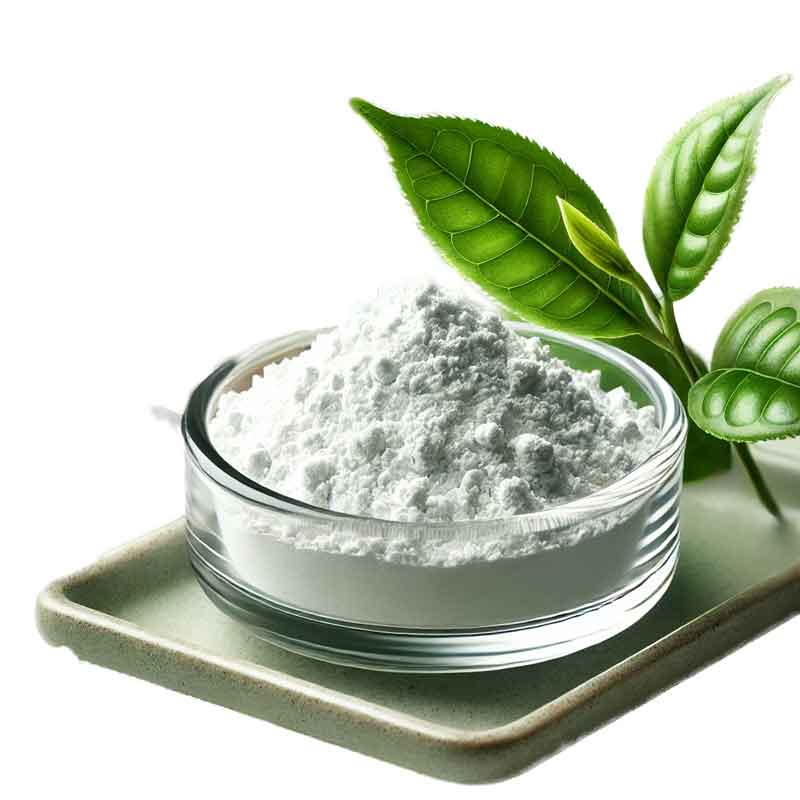 L-teaninpulver med grønn te-blad, en naturlig ingrediens i Rain Bryt