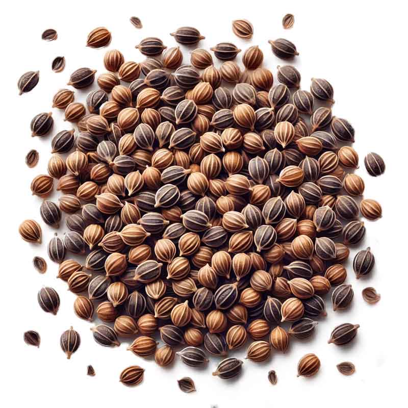 Druekjerner sett ovenfra på en ren hvit bakgrunn, naturlig spredt for å vise deres tekstur og detaljer.